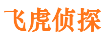 乐业侦探公司